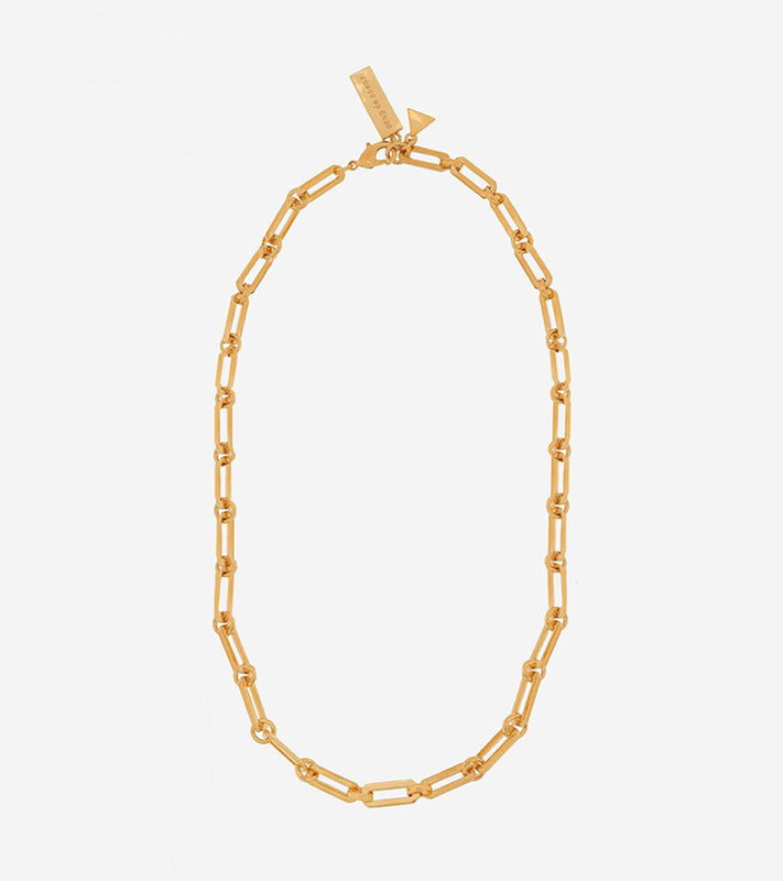 Coup de Coeur Gold link chain necklace